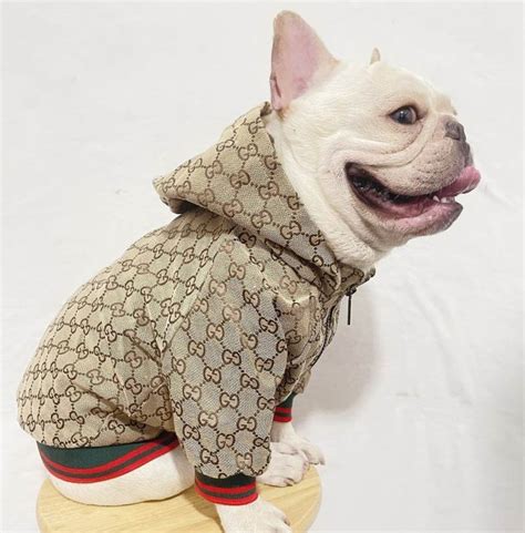 gucci coats for dogs|designer dog coats gucci.